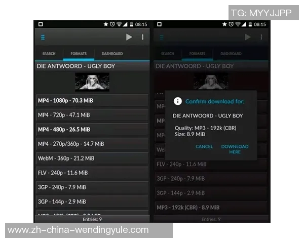 pg下载地址问鼎-探索最佳下载途径，PG下载地址问鼎-pg下载地址问鼎